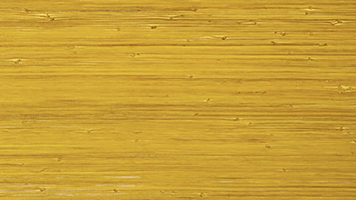 RAFFIA PALM T24069